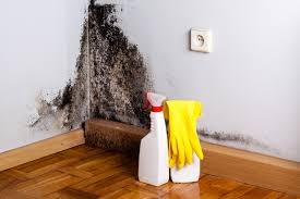 Best Mold Prevention Services  in Hopelawn, NJ